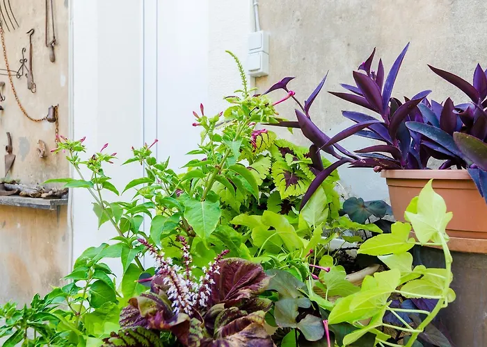 Caceris アパート